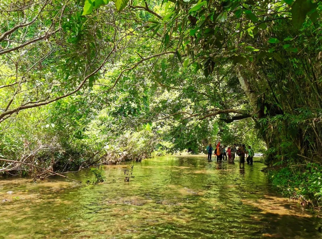 3.webp.jpg 3.webp.jpg